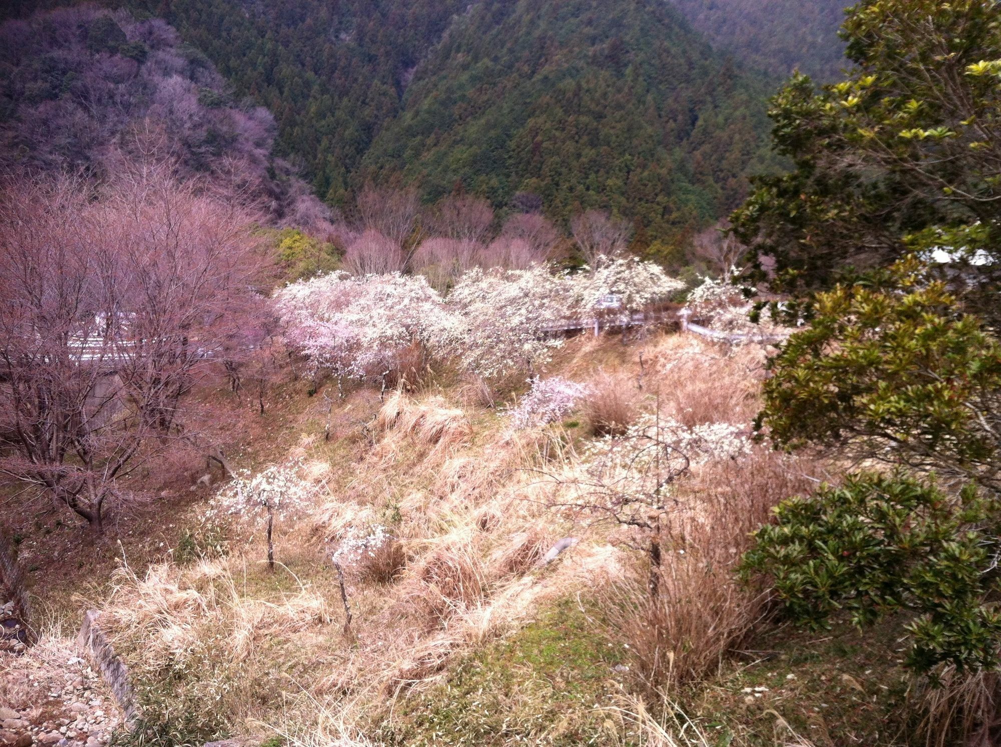 Hinotani Onsen Misugi Resort Tsu Luaran gambar